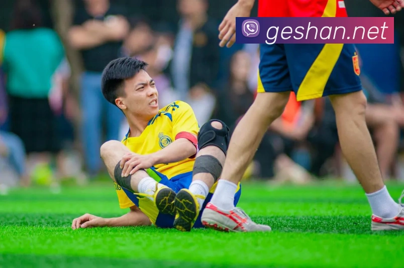 开云手机入口官方网站平台生态图